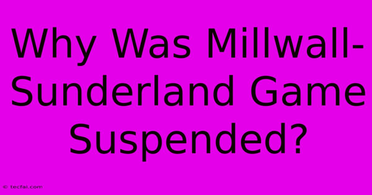 Why Was Millwall-Sunderland Game Suspended?