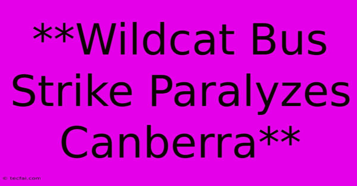 **Wildcat Bus Strike Paralyzes Canberra**