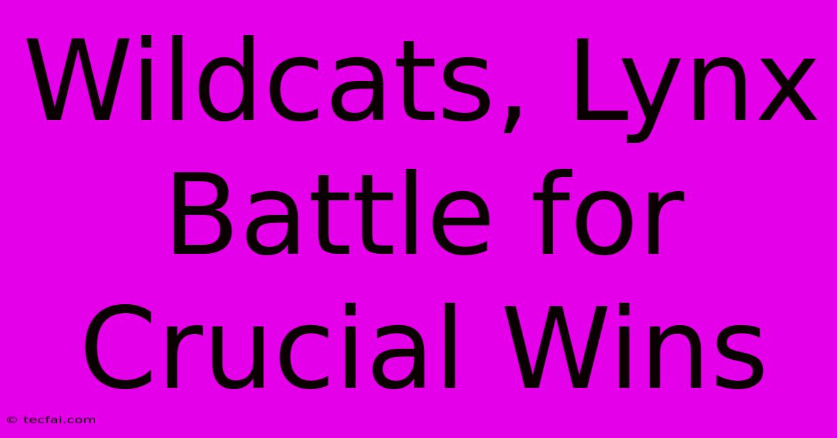 Wildcats, Lynx Battle For Crucial Wins