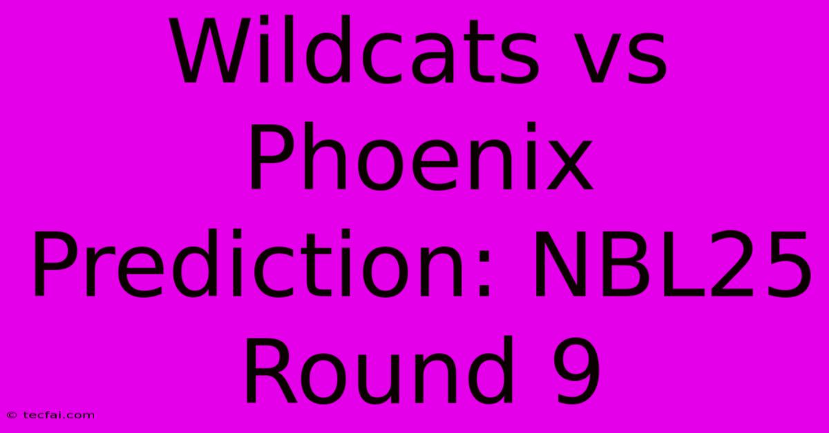 Wildcats Vs Phoenix Prediction: NBL25 Round 9