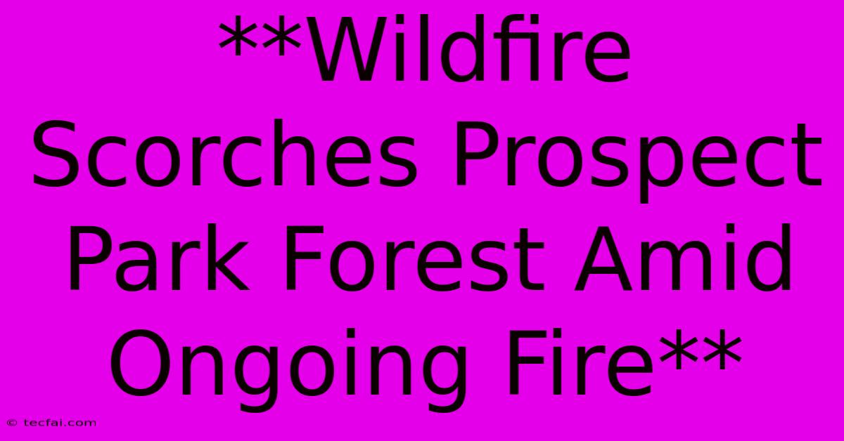 **Wildfire Scorches Prospect Park Forest Amid Ongoing Fire** 