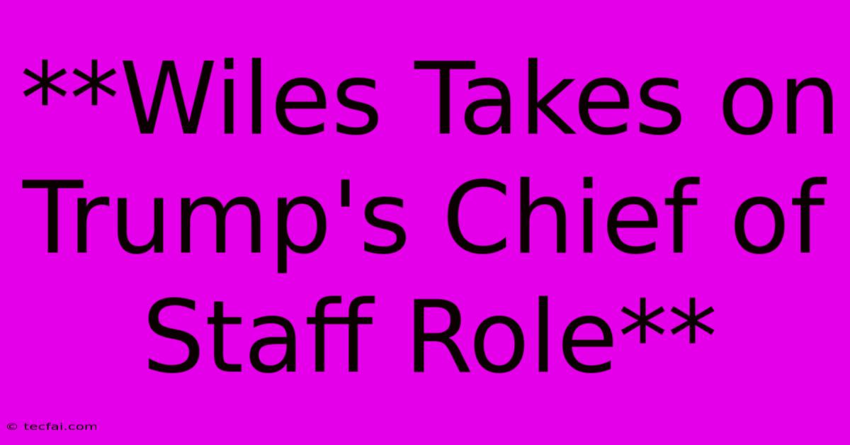 **Wiles Takes On Trump's Chief Of Staff Role**