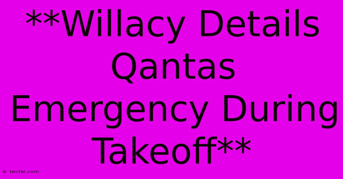 **Willacy Details Qantas Emergency During Takeoff**