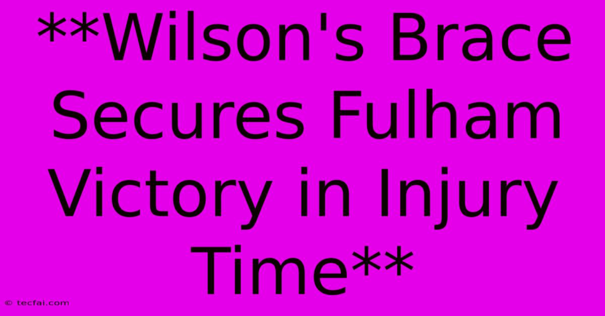 **Wilson's Brace Secures Fulham Victory In Injury Time** 