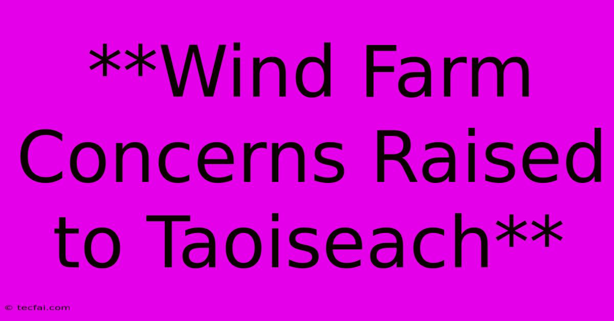 **Wind Farm Concerns Raised To Taoiseach**