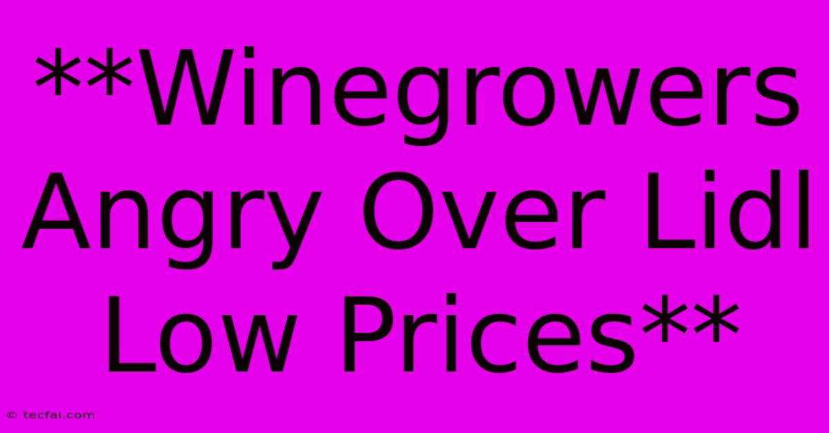 **Winegrowers Angry Over Lidl Low Prices**