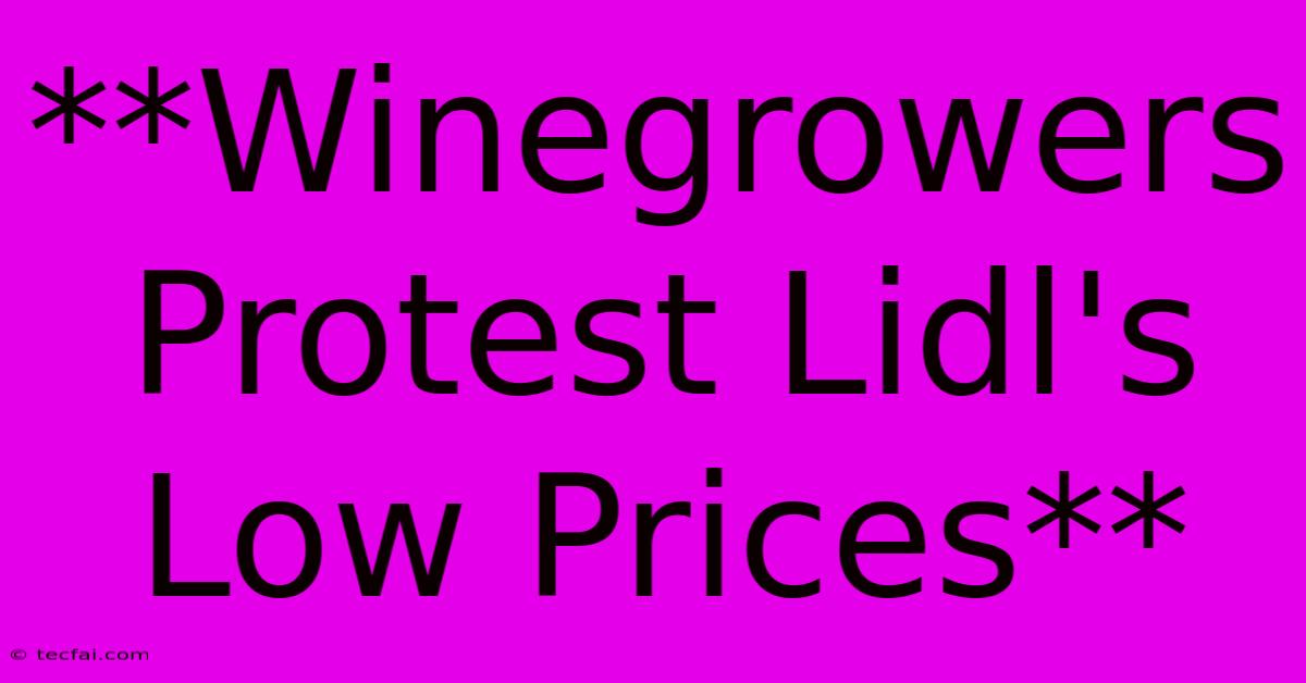 **Winegrowers Protest Lidl's Low Prices**