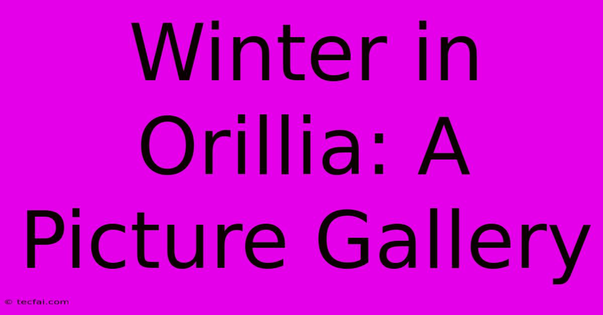 Winter In Orillia: A Picture Gallery