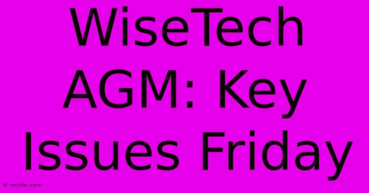 WiseTech AGM: Key Issues Friday