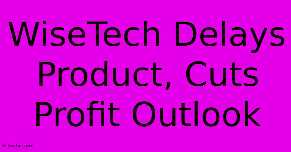 WiseTech Delays Product, Cuts Profit Outlook