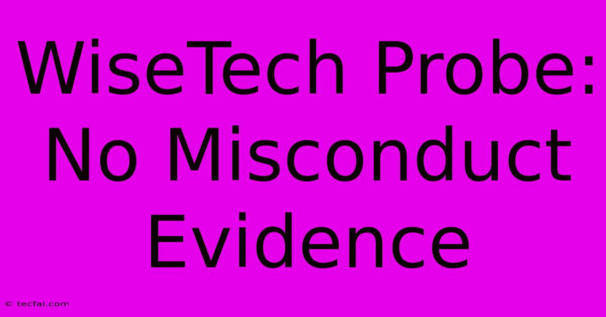 WiseTech Probe: No Misconduct Evidence