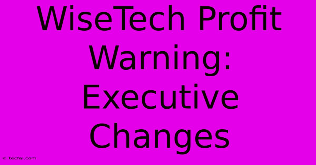 WiseTech Profit Warning: Executive Changes