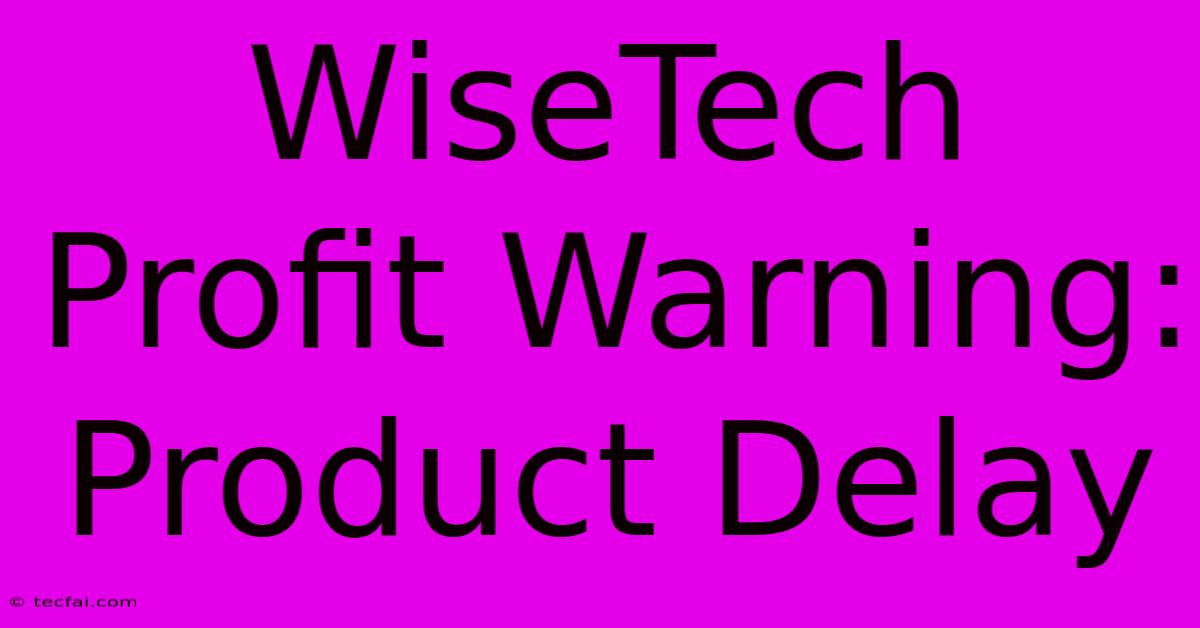 WiseTech Profit Warning: Product Delay