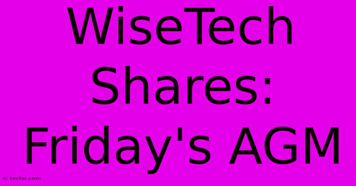 WiseTech Shares: Friday's AGM