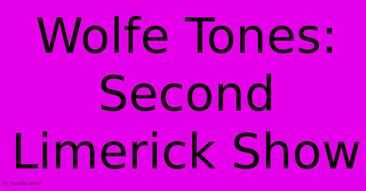 Wolfe Tones: Second Limerick Show