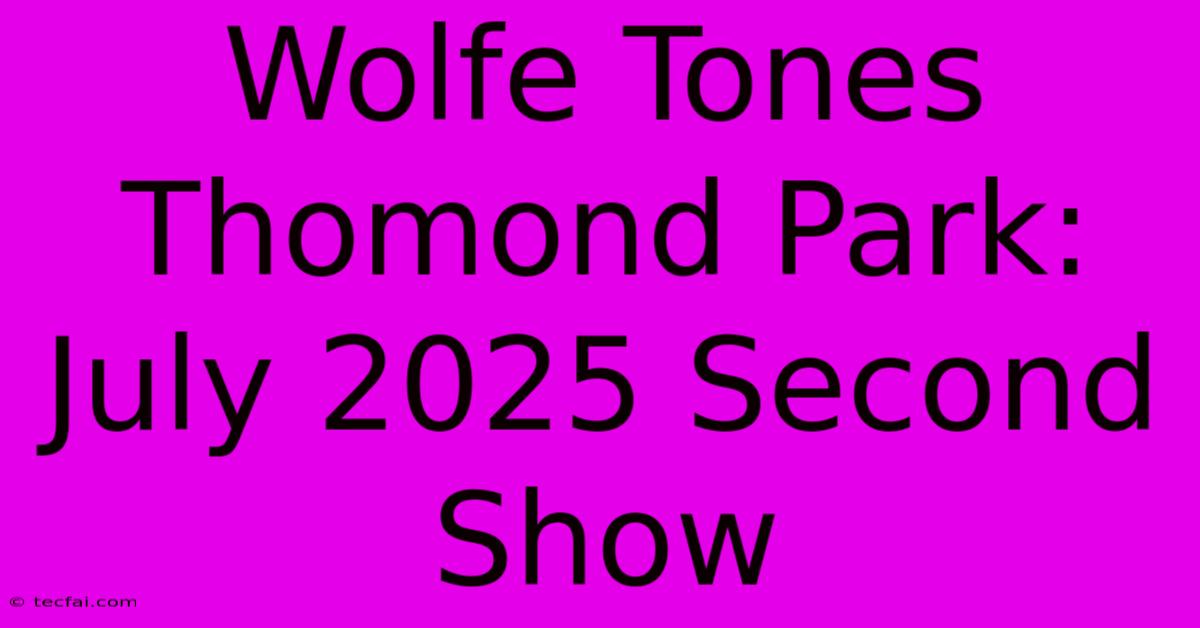 Wolfe Tones Thomond Park: July 2025 Second Show