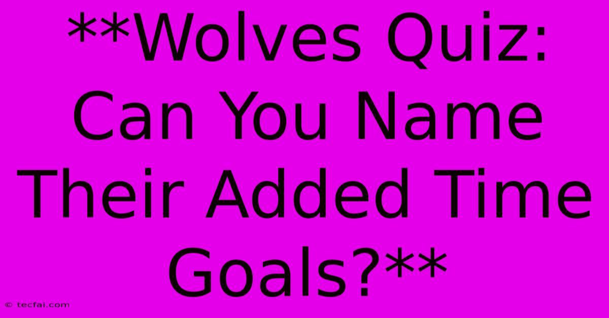 **Wolves Quiz: Can You Name Their Added Time Goals?**