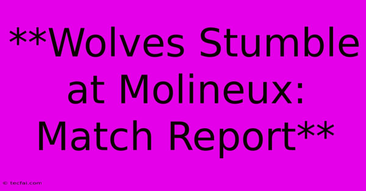 **Wolves Stumble At Molineux: Match Report**