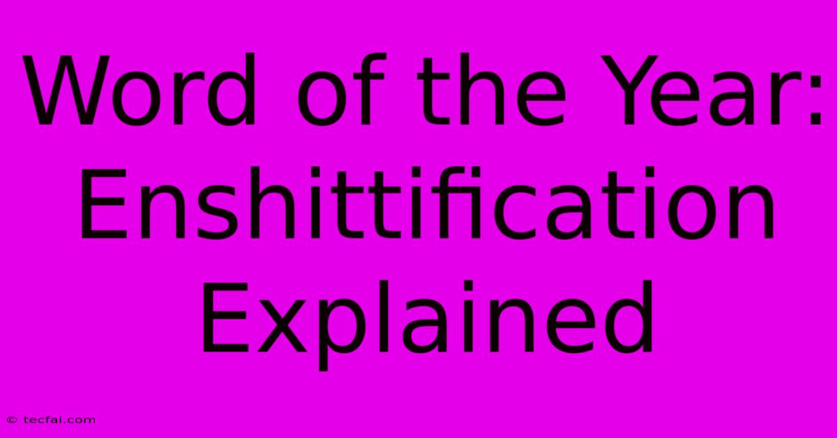 Word Of The Year: Enshittification Explained