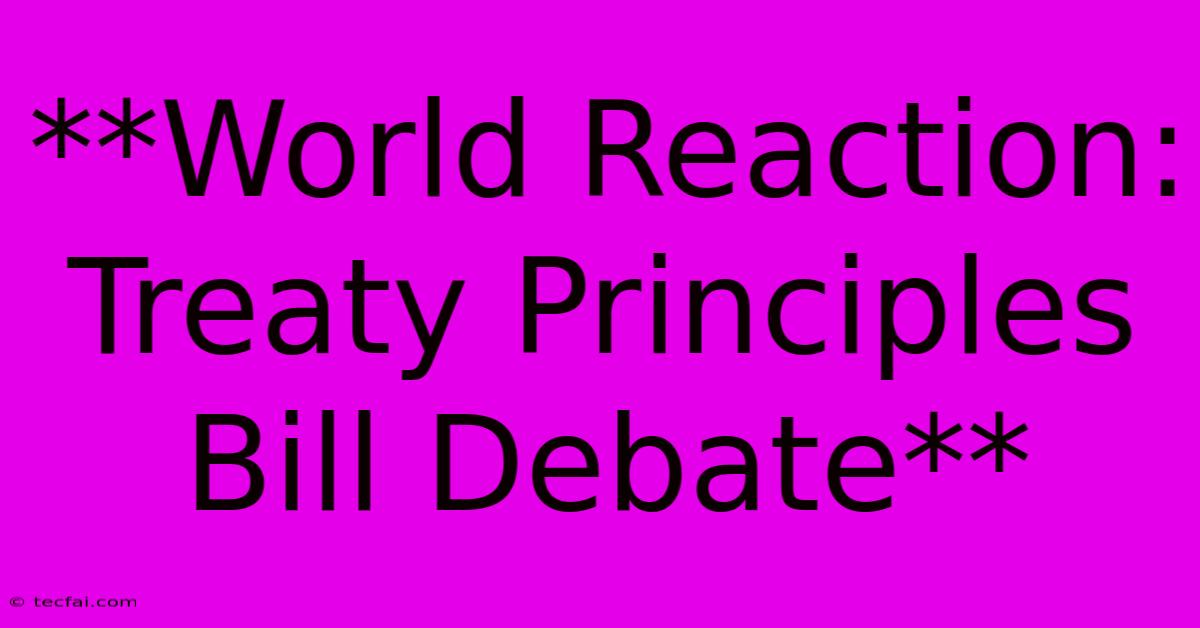 **World Reaction: Treaty Principles Bill Debate**