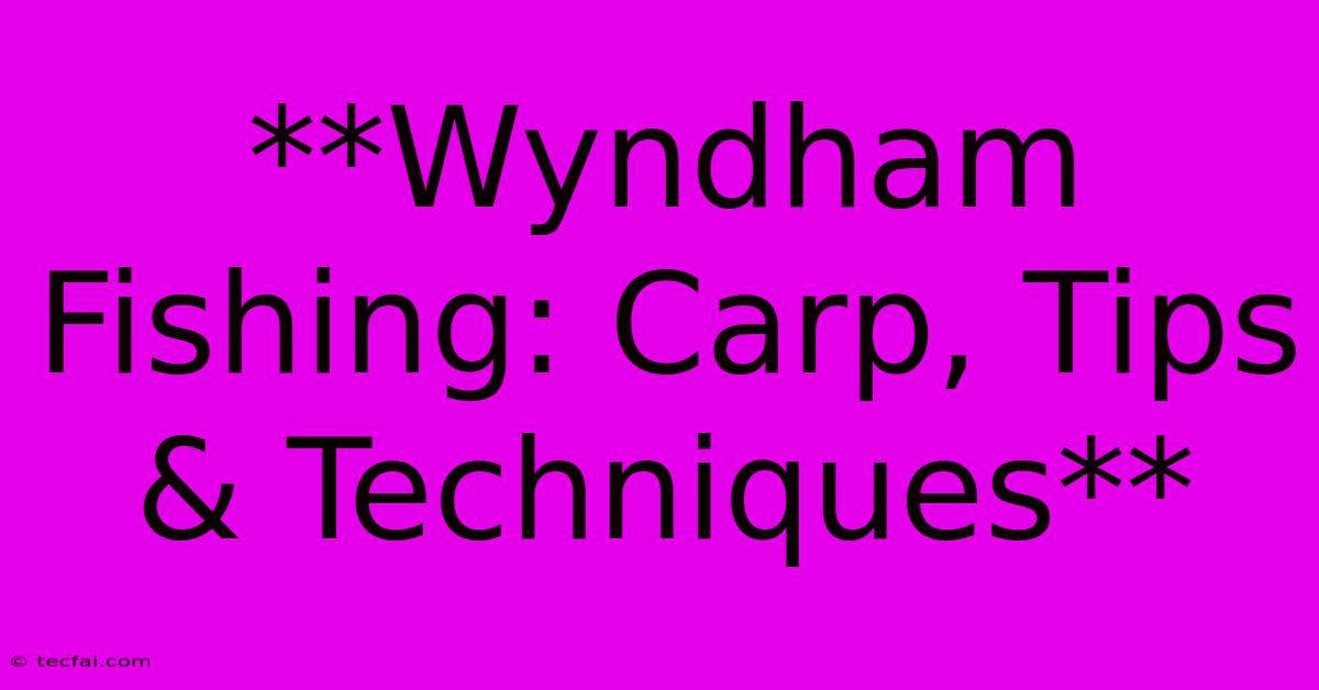 **Wyndham Fishing: Carp, Tips & Techniques** 