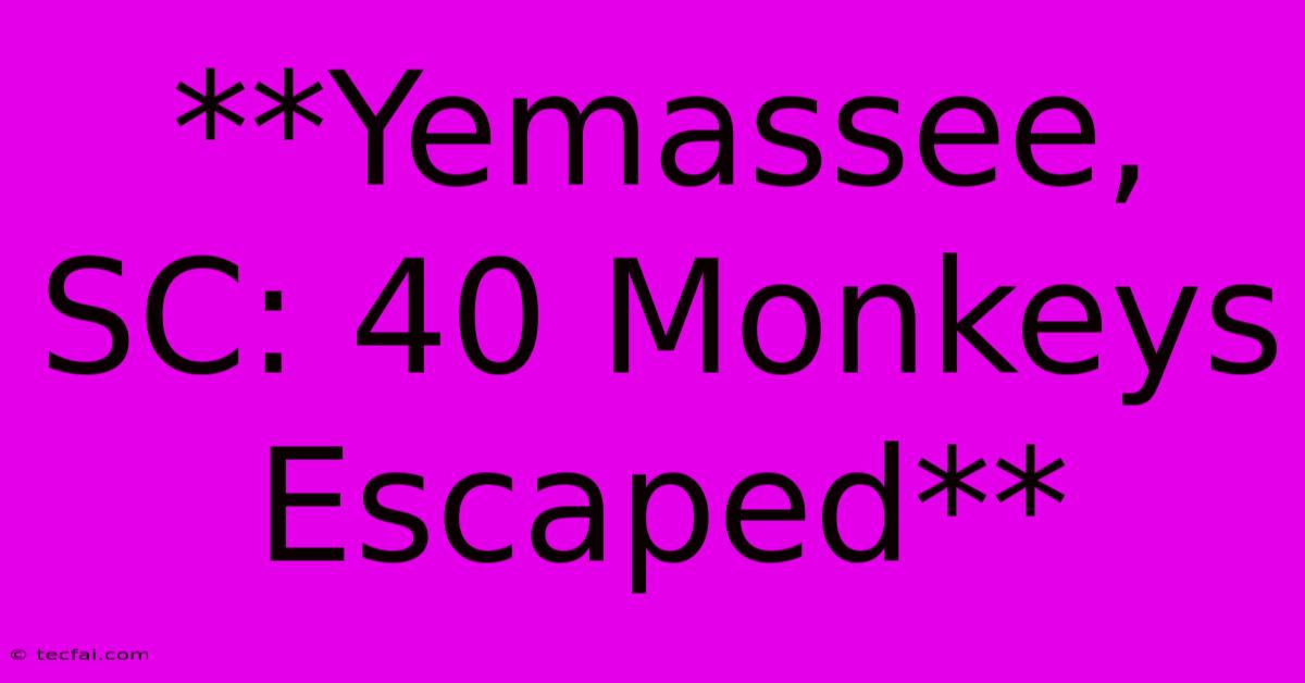 **Yemassee, SC: 40 Monkeys Escaped**