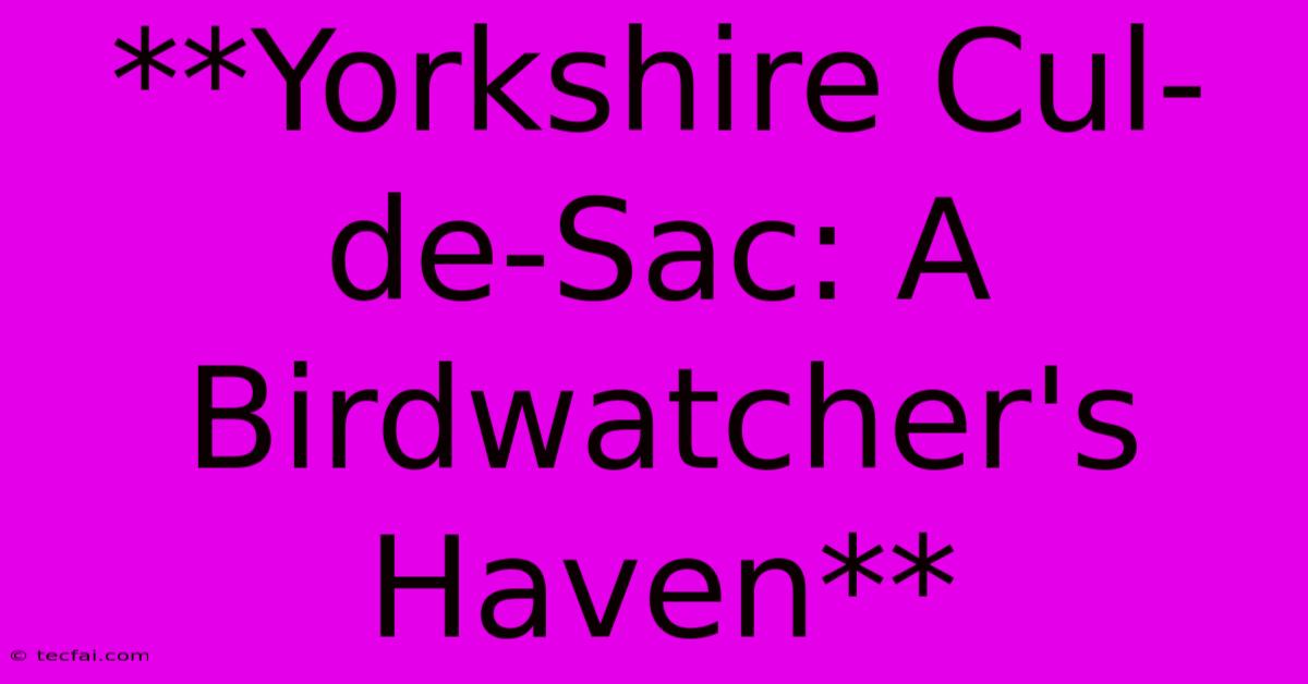 **Yorkshire Cul-de-Sac: A Birdwatcher's Haven** 