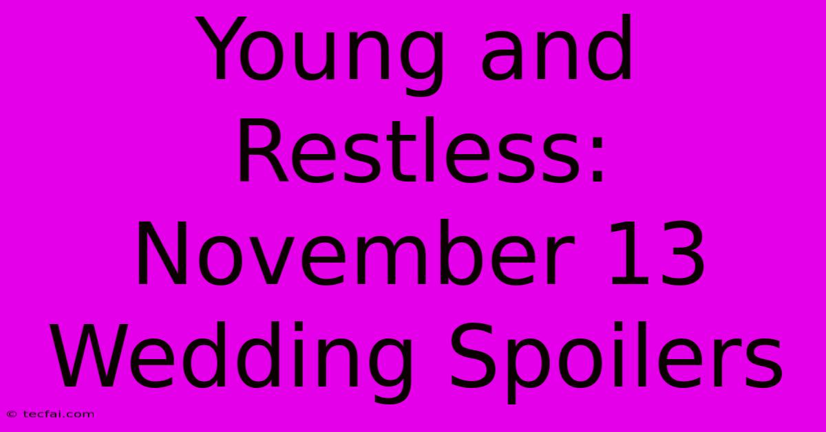 Young And Restless: November 13 Wedding Spoilers