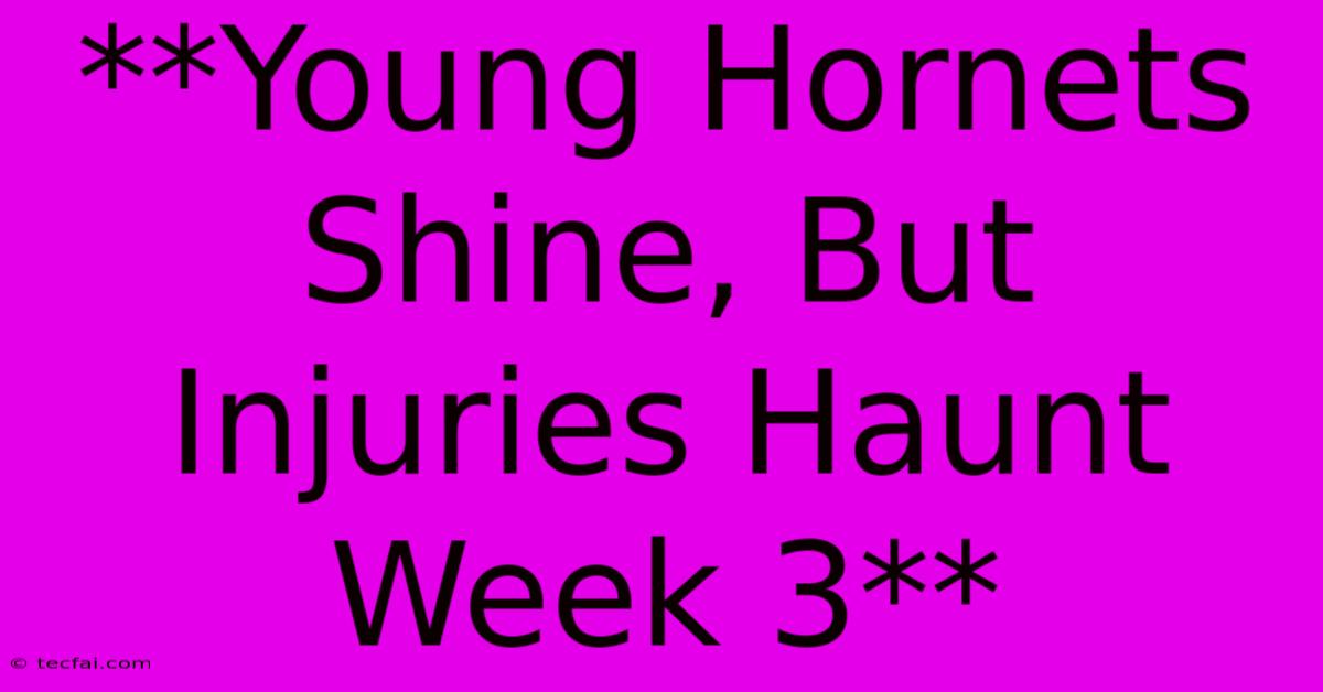 **Young Hornets Shine, But Injuries Haunt Week 3** 