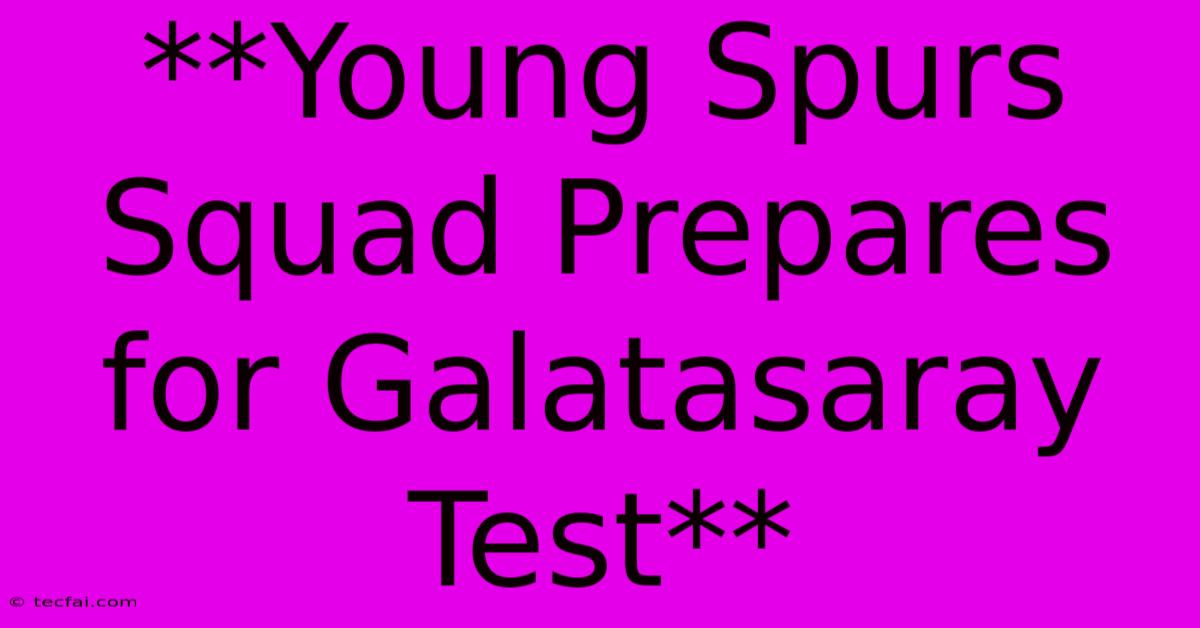 **Young Spurs Squad Prepares For Galatasaray Test**