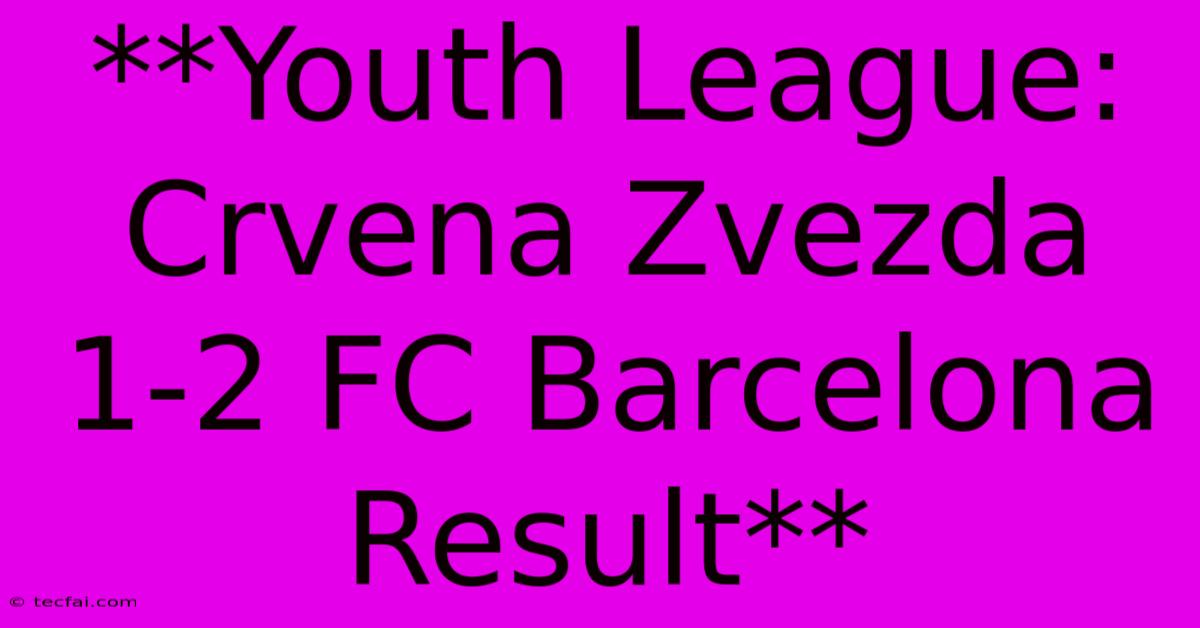 **Youth League: Crvena Zvezda 1-2 FC Barcelona Result**