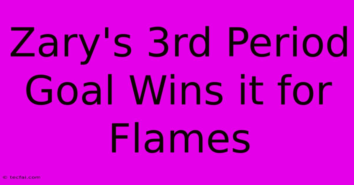 Zary's 3rd Period Goal Wins It For Flames