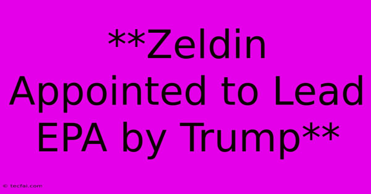 **Zeldin Appointed To Lead EPA By Trump**