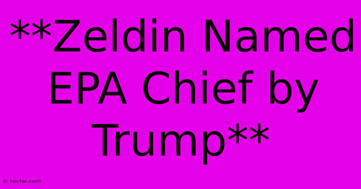 **Zeldin Named EPA Chief By Trump**