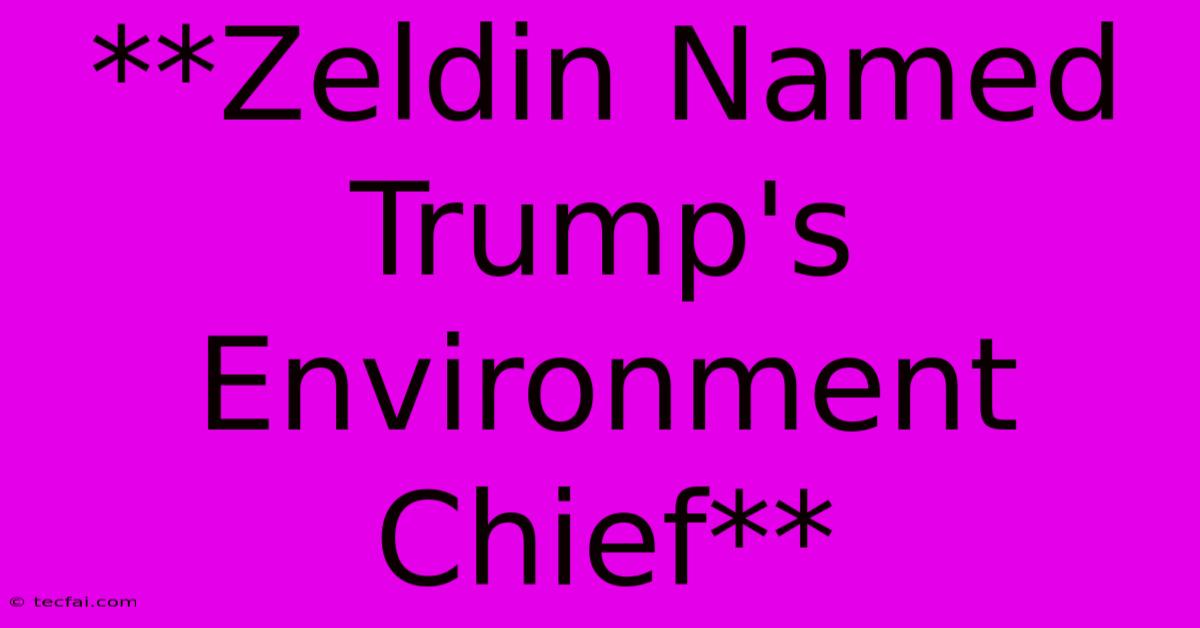 **Zeldin Named Trump's Environment Chief**