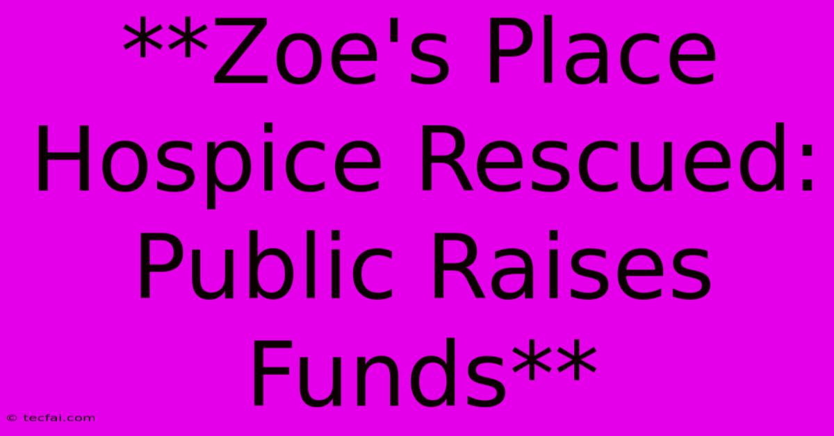 **Zoe's Place Hospice Rescued: Public Raises Funds** 