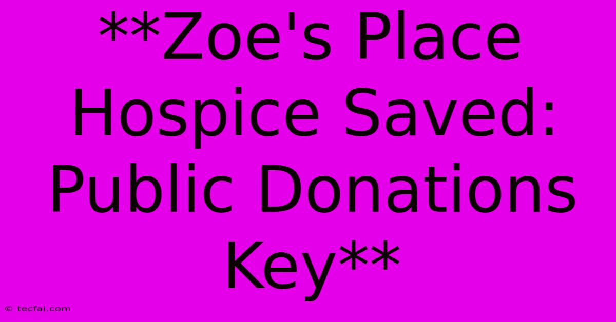 **Zoe's Place Hospice Saved: Public Donations Key**